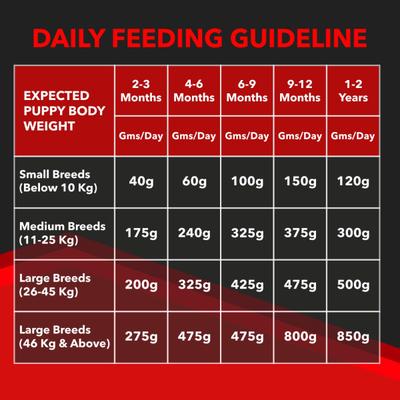 Drools Focus Puppy Super Premium Dog Food 4000 gm - Petfood