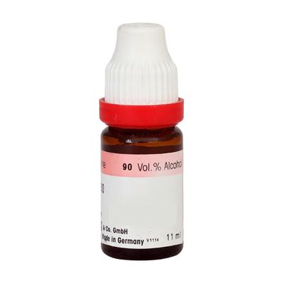 Dr. Reckeweg Abrotanum 10M Liquid 11 ml - Dilutions
