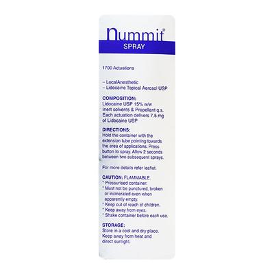 Nummit Fresh Mint Flavour Spray 100gm - Anaesthesia - Local-Ana