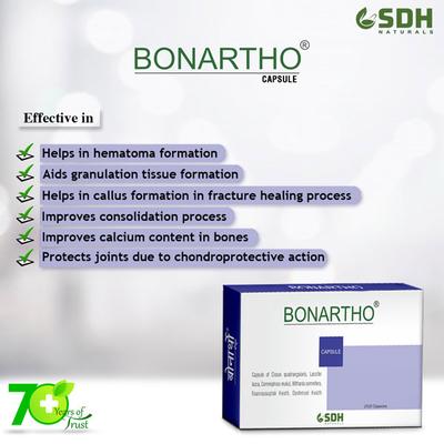 Shree Dhanwantri Herbals Bonartho Capsule (Pack of 2 x 30's) - Speciality Medicines