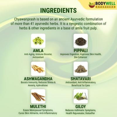 Bodywell Chyawanprash Paste (Pack of 2 x 600 gm) - Chyawanprash