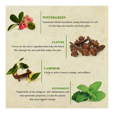 Bioayurveda Basics Muscle Pain Relief Balm 20 gm - Balm/Ointments