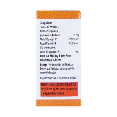 MIKA 250mg Injection 2ml - Bacterial Infections-Ami