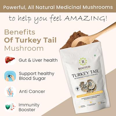 Rooted Active Naturals Turkey Tail Mushroom Extract Powder 60 gm - Pure Herbs