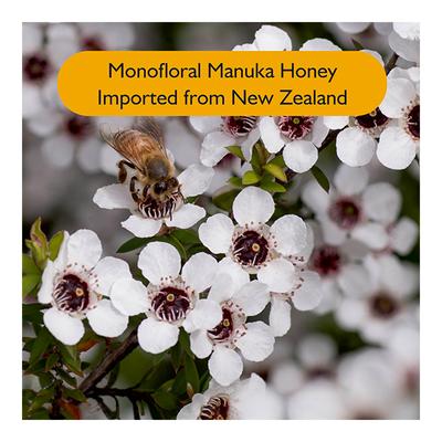 Onelife Monofloral Manuka Honey 500 gm - Honey