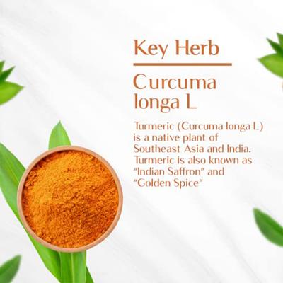 Maharishi Ayurveda Organic Turmeric Capsule 60's - Pure Herbs