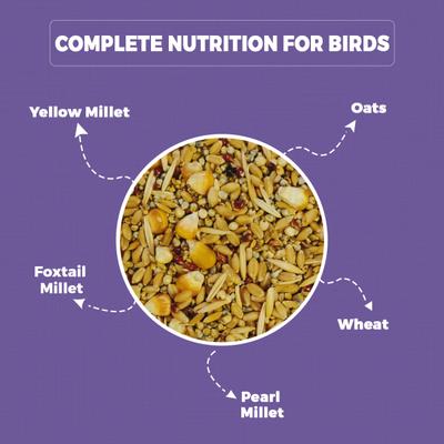 Petvit Food for Sparrows, Finches, Pigeons 1000 gm - Petfood