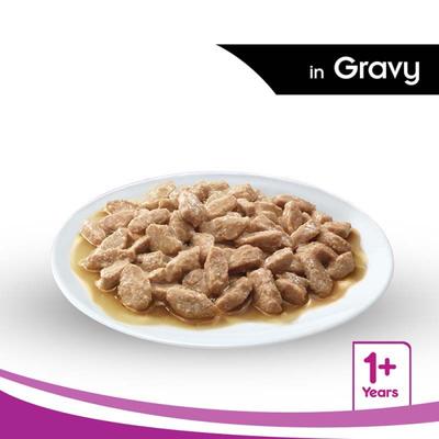 Whiskas Adult Salmon in Gravy (Pack of 85gm x 48) 4080 gm - Petfood