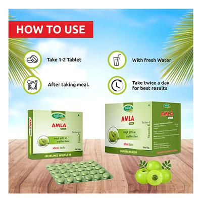 Swadeshi Ayurved Amla Tablet 30's - Health Products
