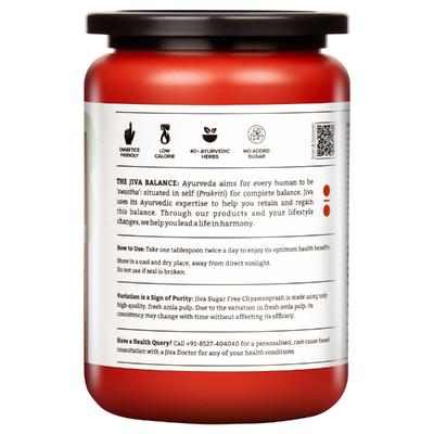 Jiva Ayurveda Sugar Free Chyawanprasha 1 kg - Chyawanprash