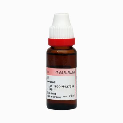 Dr. Reckeweg Apis Mell Ø Liquid 20 ml - Mother Tincture