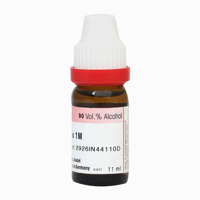 Dr. Reckeweg Cistus Canadensis 1M Liquid 11 ml - Dilutions