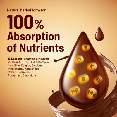 Gynoveda Ayurvedic Multi Vitamin Malt Powder - Ragi & Jaggery Chocolate 250 gm - Herbal Dietary Supplement