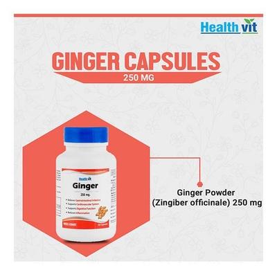 HealthVit Ginger 250 mg Capsule 60's - Herbal Dietary Supplement
