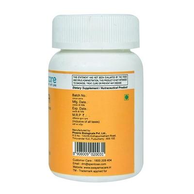 Fin Chaga (Chaga Extract) Vegetarian Capsules 60'S - Vitamin C