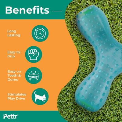 Pettr Chatter Toy for Dogs 1's - Pet accessories