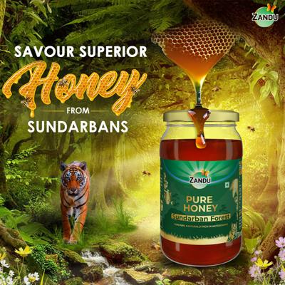 Zandu Sundarban Forest Pure Honey 500 gm - Honey