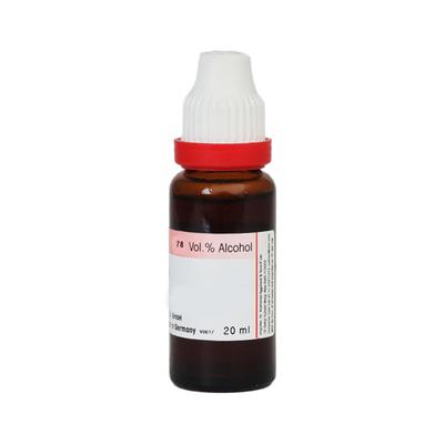 Dr. Reckeweg Actea Spicata Ø Liquid 20 ml - Mother Tincture