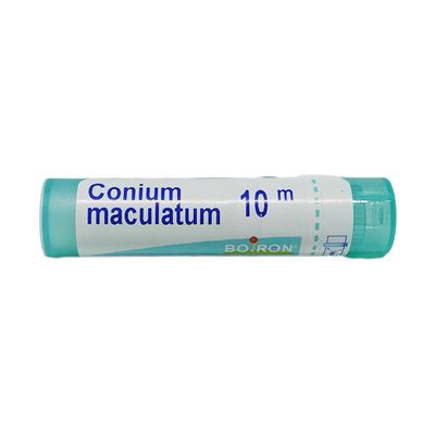 Boiron Conium Maculatum 10M Multi Dose PELLETS 4 GM - Triturations (Homeo Tablets)