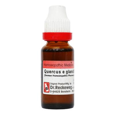 Dr. Reckeweg Quercus E Glandibus Q Liquid 20 ml - Mother Tincture