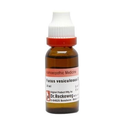 Dr. Reckeweg Fucus Vesic Ø Liquid 20 ml - Mother Tincture