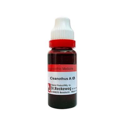 Dr. Reckeweg Ceanothus Amer Ø Liquid 20 ml - Mother Tincture