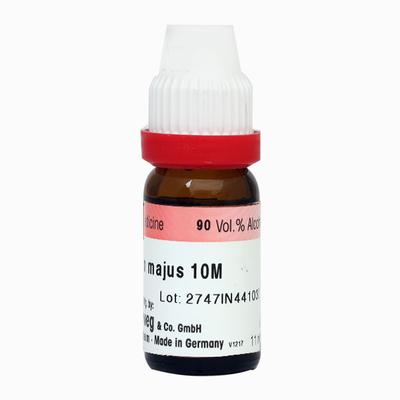 Dr. Reckeweg Chelidonium Majus 10M Liquid 11 ml - Dilutions