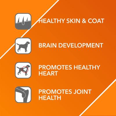 Drools Absolute Salmon Oil Syrup - Dog Supplement 150 ml - Petfood