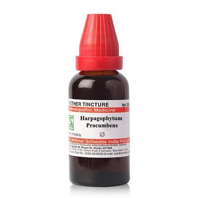 Dr.Willmar Schwabe Harpagophytum Procumbens Ø Liquid 30 ml - Mother Tincture