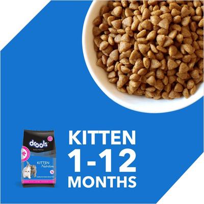 Drools Kitten(1-12 Months) Dry Cat Food, Ocean Fish with Free Container 1200 gm - Petfood