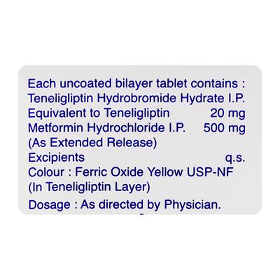 Teneza M 500mg Tablet 10'S - Diabetes-Ant