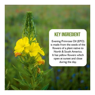 Onelife Evening Primerose Oil Softgel 60's - Vital Health