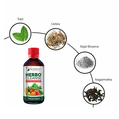 Dr.Vaidya's Herbo Cleanse Fruit and Veggie Wash Liquid (Pack of 2 x 200 ml) - Personal Care (Ayush)