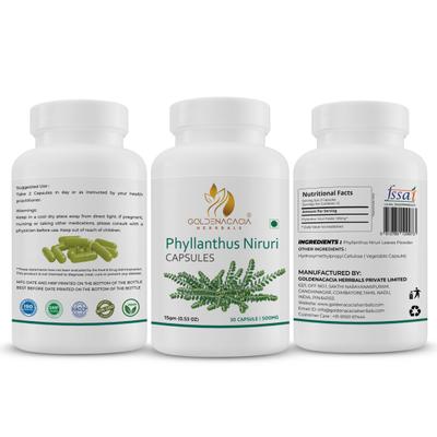 Goldenacacia Herrbals Phyllanthus Niruri 500 mg Capsule 30's - Pure Herbs