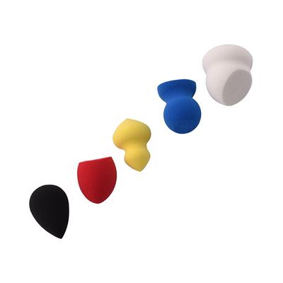 PAC 5 in 1 Miniset MultiShapes MultiColor 5's - Sponges & Applicators