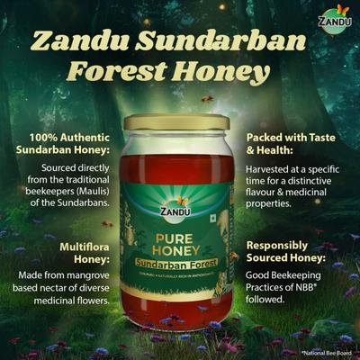 Zandu Sundarban Forest Pure Honey 500 gm - Honey