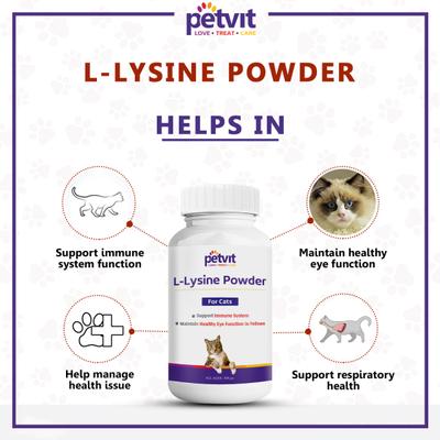 Petvit L-Lysine Powder for Cats 100 gm - Petfood
