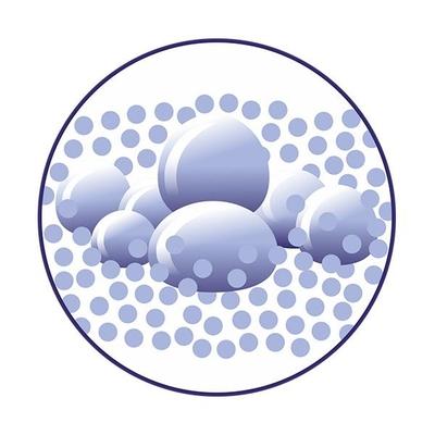 Bella Panty Intima Plus -Normal 28's - Panty Liners