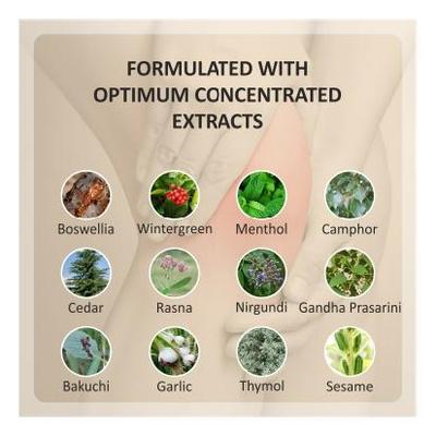 Essentium Phygen Rhuval Oil 10 ml - Pain Relief Oil