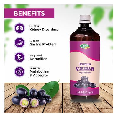 Swadeshi Ayurved Jamun Vinegar Juice 500 ml - Ayurvedic Juices