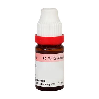 Dr. Reckeweg Abrotanum 1M Liquid 11 ml - Dilutions