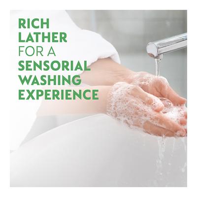 Dettol No-Touch Handwash System + Dettol Aloe Vera Handwash Refill 250 ml - Hand Wash & Soaps