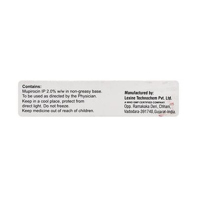 MUPIGRAM Ointment 5gm - Skin Infections-Toa