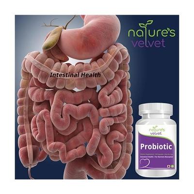 Natures Velvet Probiotics Capsules 30's - Speciality Medicines