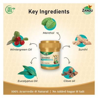 Zandu Seniorz Complete Joint Expert Inflam Relief Plus Lepa 90 gm - Vital Health
