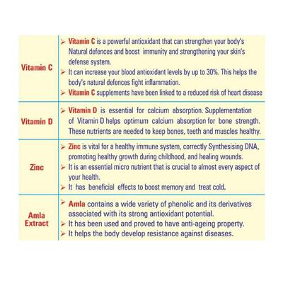 VITC DZ Chewable Tablet 10's - Supplements-Vic