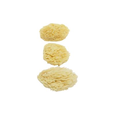 Mothercare Natural Baby Bath Sponge (Pack of 3) - Beige 1's - Bathing Essentials