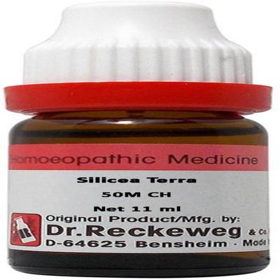 Dr. Reckeweg Silicea Terra 50M Liquid 11 ml - Dilutions