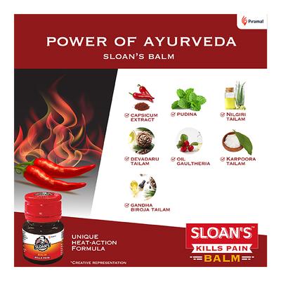 Sloan's Balm 10 gm - Balm/Ointments