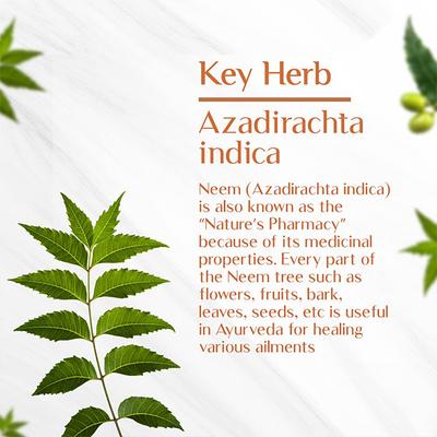 Maharishi Ayurveda Organic Neem Tablet 60's - Pure Herbs